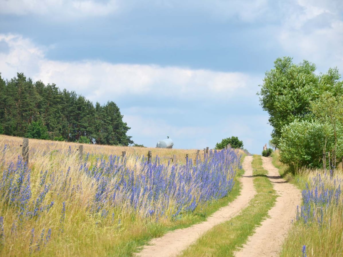 4z3_2012.06.22_12.32